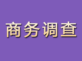 眉县商务调查