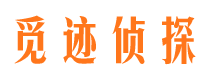 眉县市调查公司